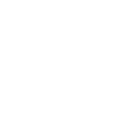 Codenix Logo